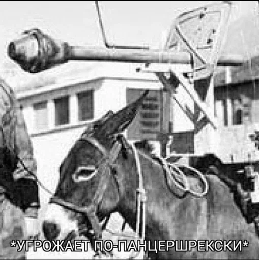 🐴 Стикер «Танки Tanks» для Telegram