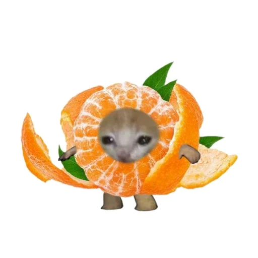 🐱 Стикер «Всратыш и Новый Год» для Telegram