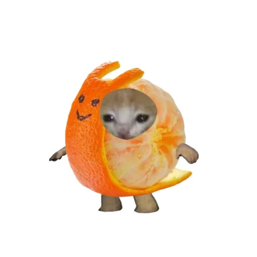 🐱 Стикер «Всратыш и Новый Год» для Telegram