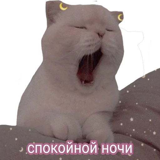 😴 Стикер «встратыши» для Telegram