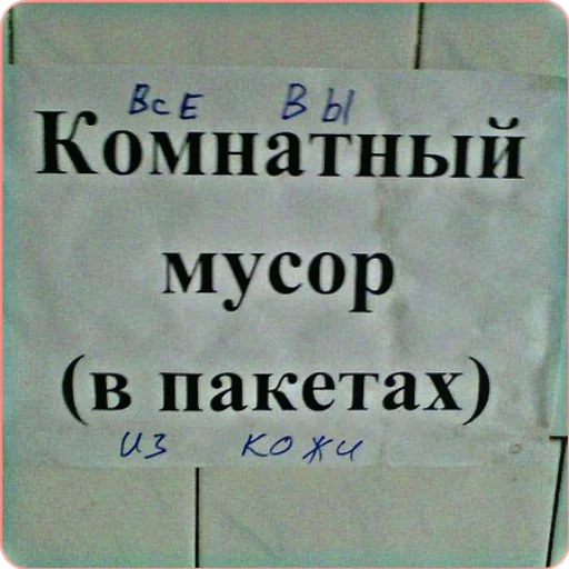 💩 Стикер «Надписи» для Telegram