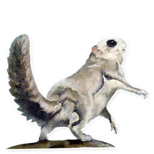 🐿 Стикер «Vulpino» для Telegram