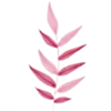 Стикер 21 Vesna
