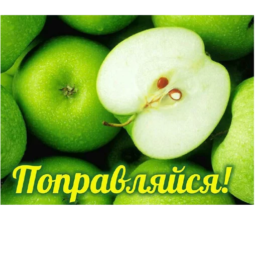 🍏 Стикер «ВЛВ» для Telegram