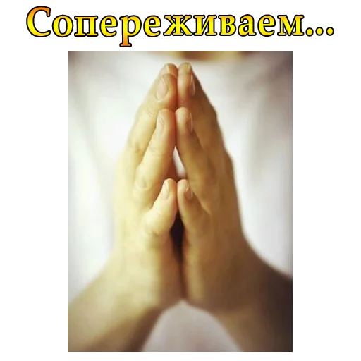 🙏 Стикер «ВЛВ» для Telegram
