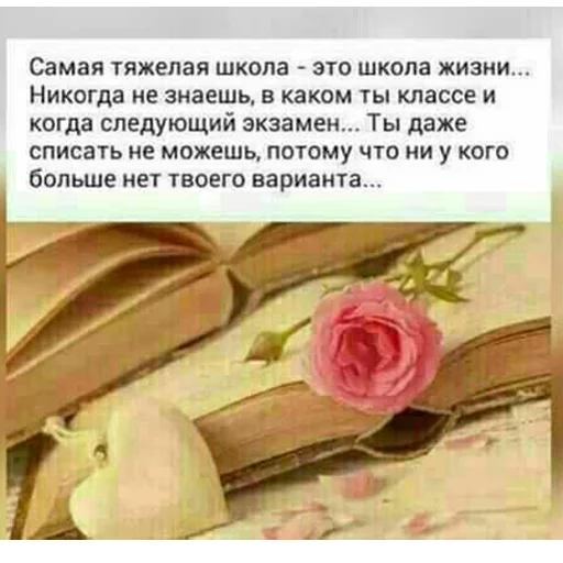 🌹 Стикер «ВЛВ» для Telegram
