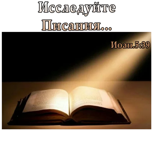 📖 Стикер «ВЛВ» для Telegram