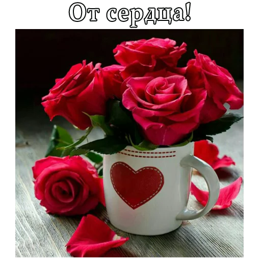 🌹 Стикер «ВЛВ» для Telegram
