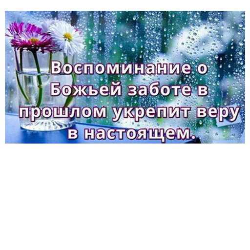🌼 Стикер «ВЛВ» для Telegram