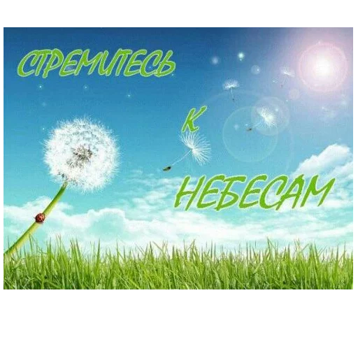 🌻 Стикер «ВЛВ» для Telegram