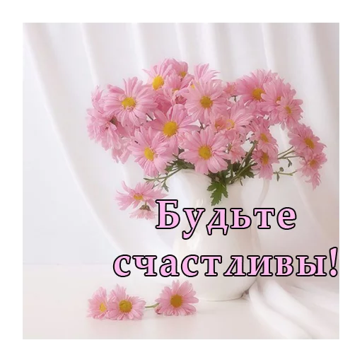 💐 Стикер «ВЛВ» для Telegram