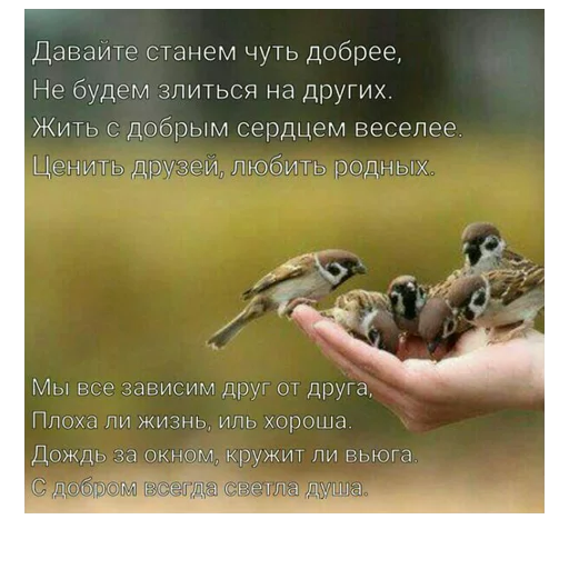 🐥 Стикер «ВЛВ» для Telegram