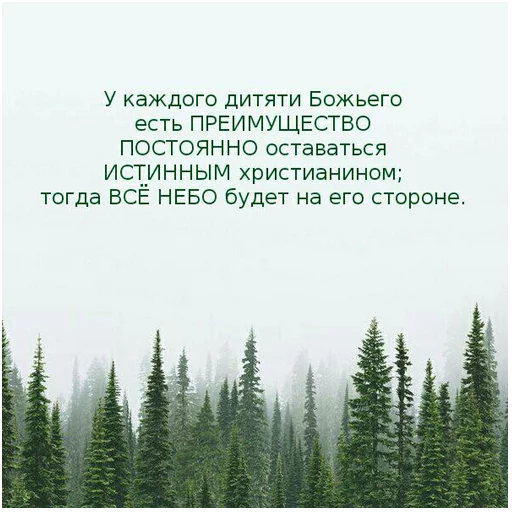 💐 Стикер «ВЛВ» для Telegram