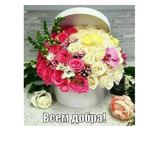 💐 Стикер «ВЛВ» для Telegram