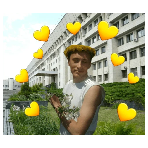 💛 Стикер «Vicladachi» для Telegram