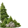 Стикер 2 Woods