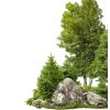Обложка набора Woods