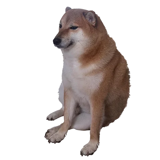 🐶 Стикер «Luchshiye» для Telegram