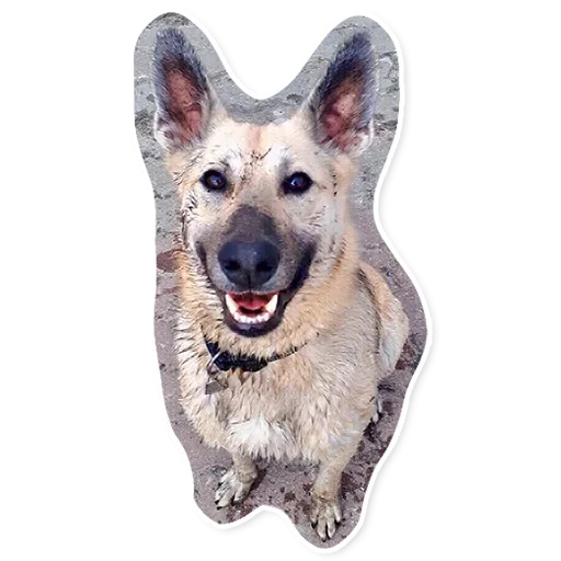 😈 Стикер «АЙДА ГУЛЯТЬ» для Telegram