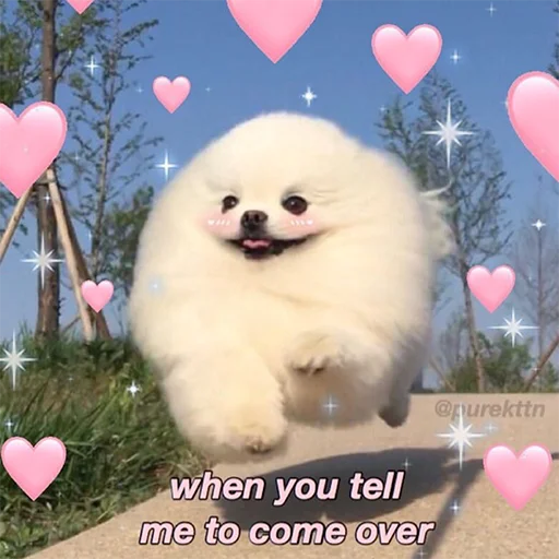 💞 Стикер «kmn» для Telegram