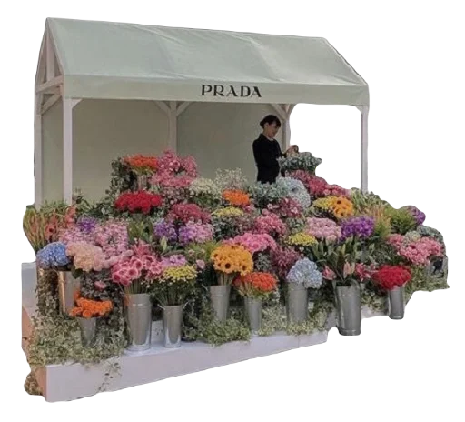 💐 Стикер «warm» для Telegram