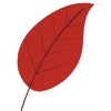 🍂 Эмодзи «autumnvibes» для Telegram
