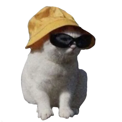 😎 Стикер «Кошки - Вояки» для Telegram
