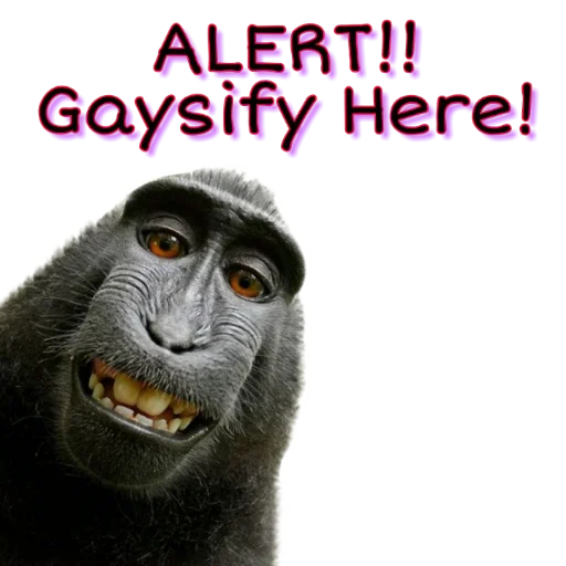 😜 Стикер «Wassup Gay» для Telegram