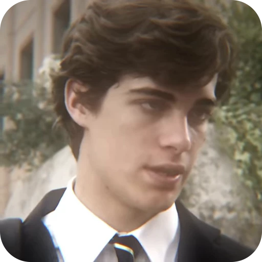 🌟 Стикер «Niccolo Govender» для Telegram