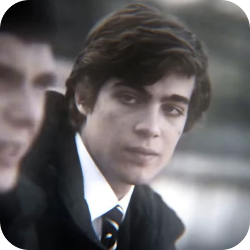 🌟 Стикер «Niccolo Govender» для Telegram