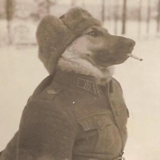 🇷🇺 Стикер «We Are Communist» для Telegram