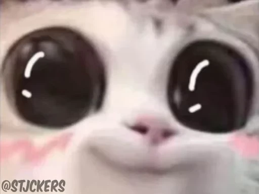 🥹 Стикер «More Stickers» для Telegram