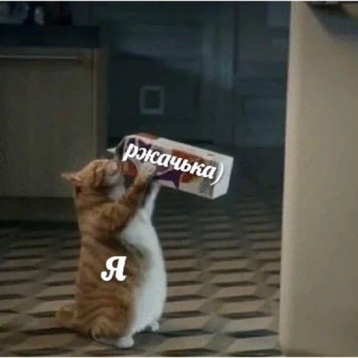 🤪 Стикер «Живность» для Telegram