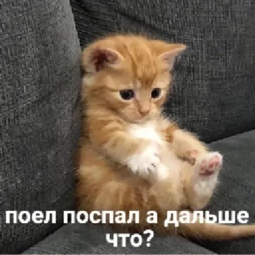 🙂 Стикер «Живность» для Telegram