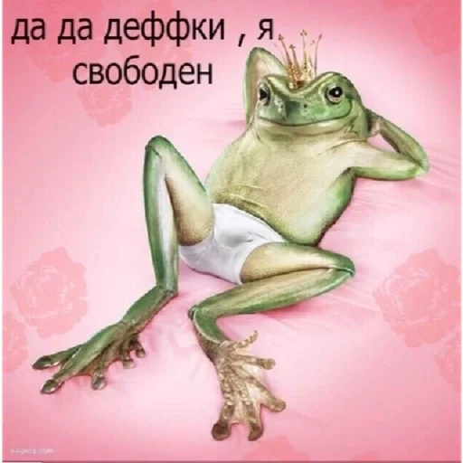 🤤 Стикер «Живность» для Telegram