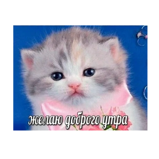 🌅 Стикер «Живность» для Telegram