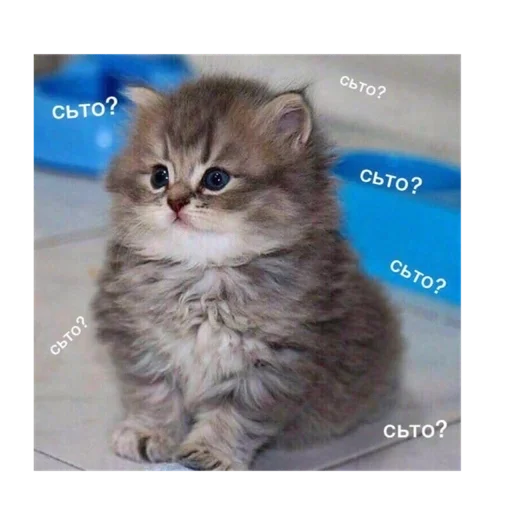 😧 Стикер «Живность» для Telegram