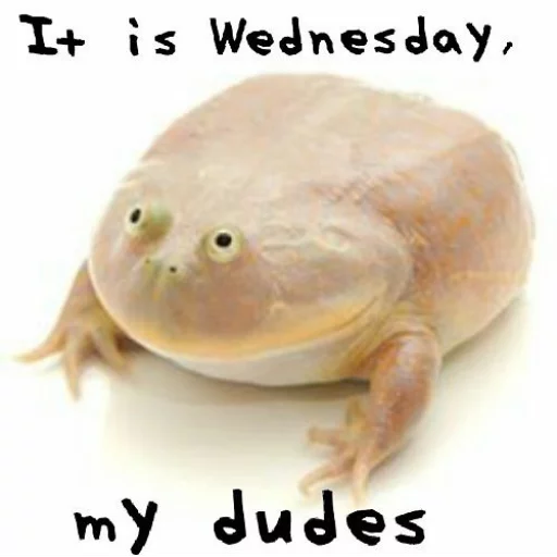Стикерпак Wednesday My Dudes для Telegram — скачать