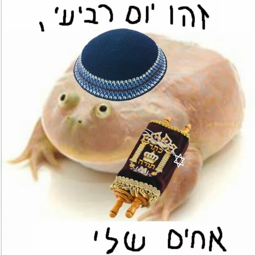 🇳🇵 Стикер «Wednesday My Dudes» для Telegram