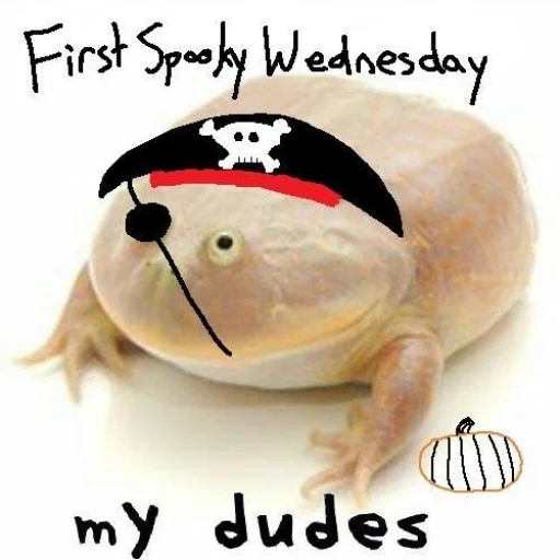 🏴 Стикер «Wednesday My Dudes» для Telegram