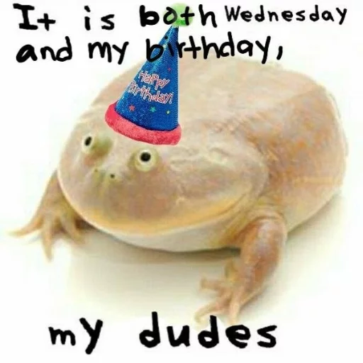 🎂 Стикер «Wednesday My Dudes» для Telegram