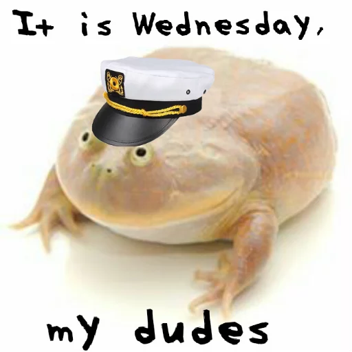 ⛵ Стикер «Wednesday My Dudes» для Telegram