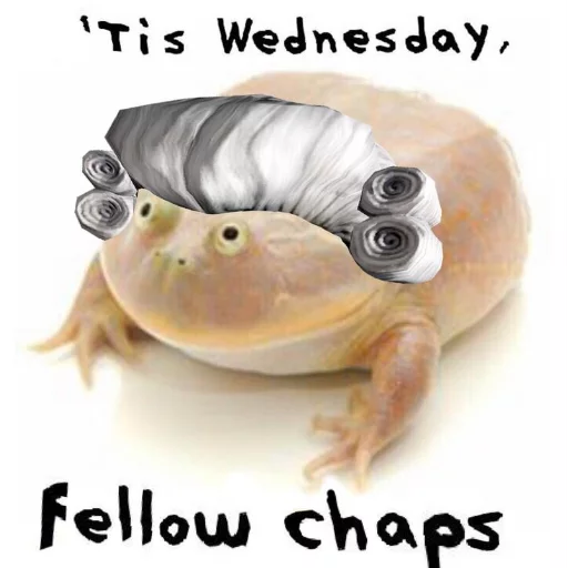 👴 Стикер «Wednesday My Dudes» для Telegram