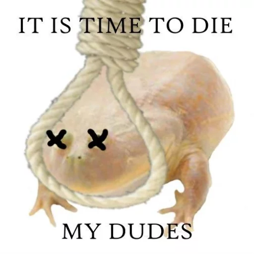 😵 Стикер «Wednesday My Dudes» для Telegram