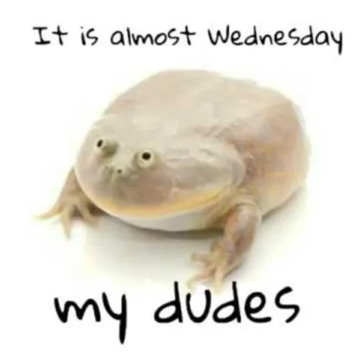 🕦 Стикер «Wednesday My Dudes» для Telegram