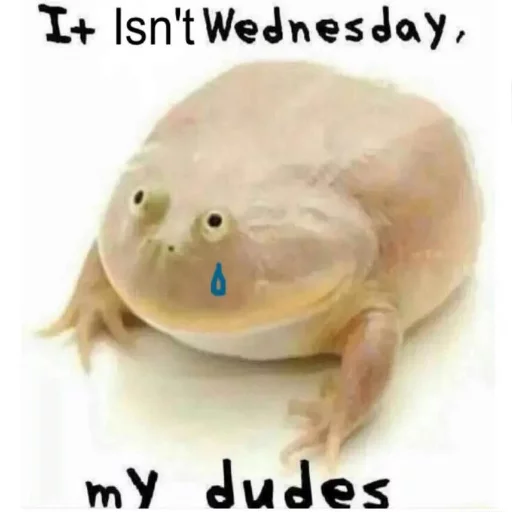 😢 Стикер «Wednesday My Dudes» для Telegram