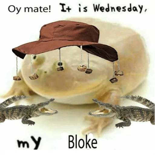 🇦🇺 Стикер «Wednesday My Dudes» для Telegram