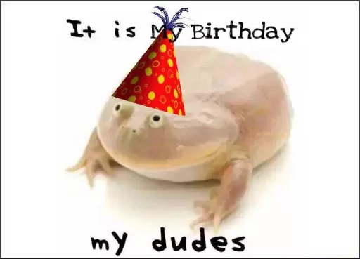 🍦 Стикер «Wednesday My Dudes» для Telegram