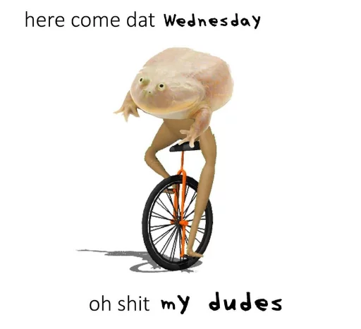 🚲 Стикер «Wednesday My Dudes» для Telegram
