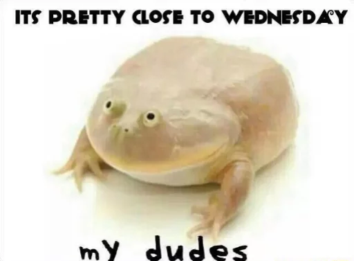 🚩 Стикер «Wednesday My Dudes» для Telegram